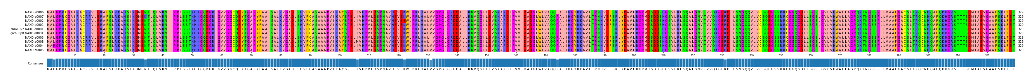 Multiple Alignments (by translate haplotype similarity)