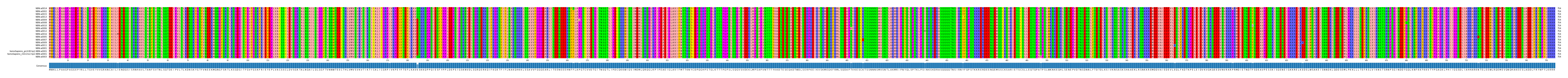Multiple Alignments (by translate haplotype similarity)
