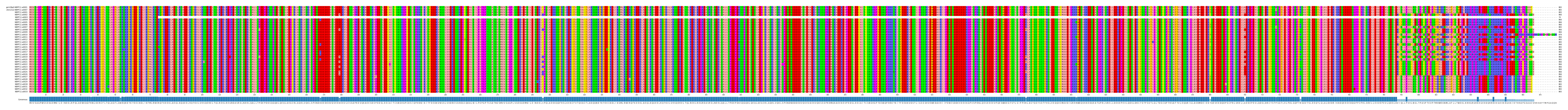 Multiple Alignments (by translate haplotype frequency)