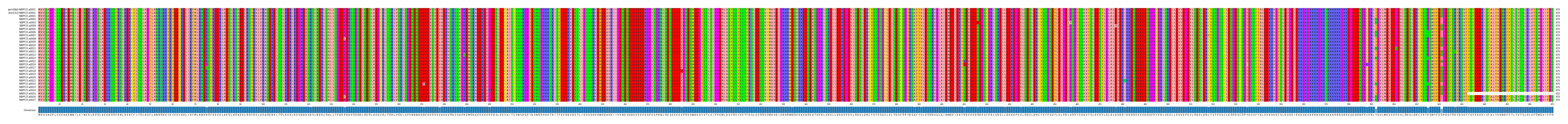Multiple Alignments (by translate haplotype frequency)