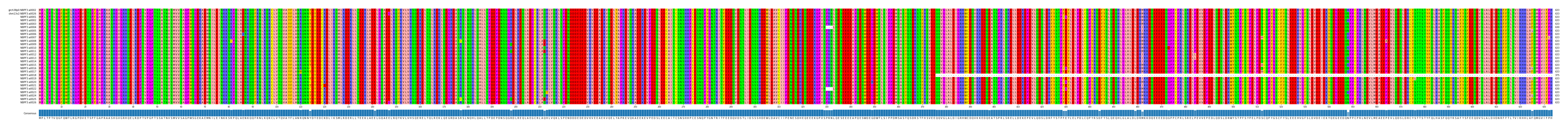 Multiple Alignments (by translate haplotype frequency)