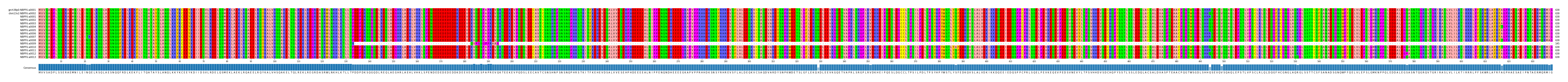 Multiple Alignments (by translate haplotype frequency)