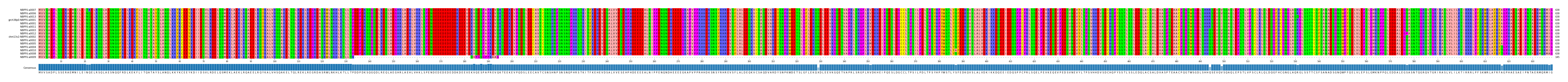 Multiple Alignments (by translate haplotype similarity)