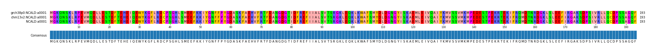 Multiple Alignments (by translate haplotype similarity)