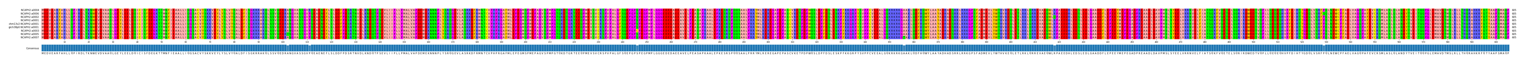 Multiple Alignments (by translate haplotype similarity)