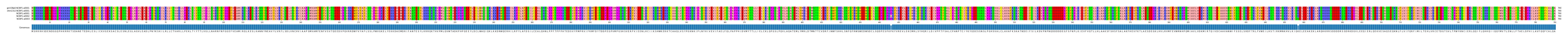Multiple Alignments (by translate haplotype frequency)