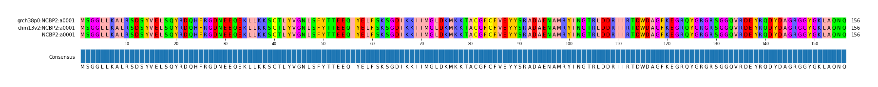 Multiple Alignments (by translate haplotype frequency)