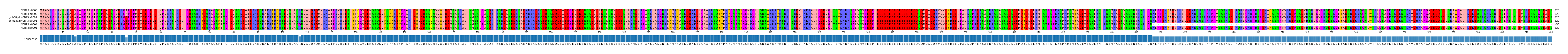 Multiple Alignments (by translate haplotype similarity)