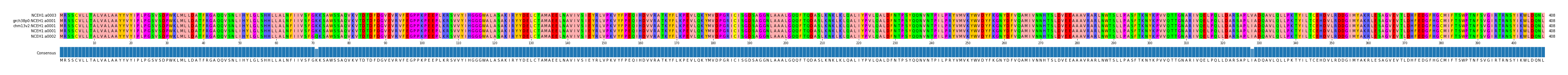 Multiple Alignments (by translate haplotype similarity)
