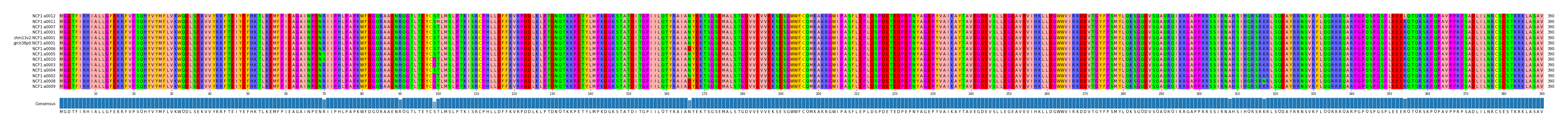 Multiple Alignments (by translate haplotype similarity)