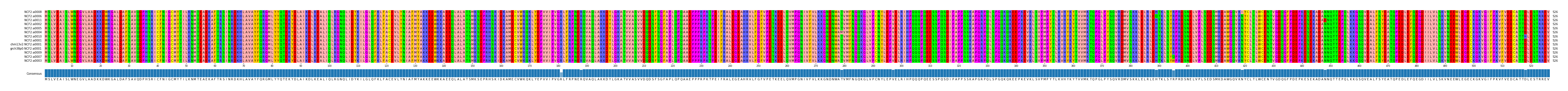 Multiple Alignments (by translate haplotype similarity)