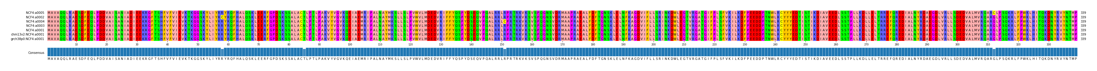 Multiple Alignments (by translate haplotype similarity)