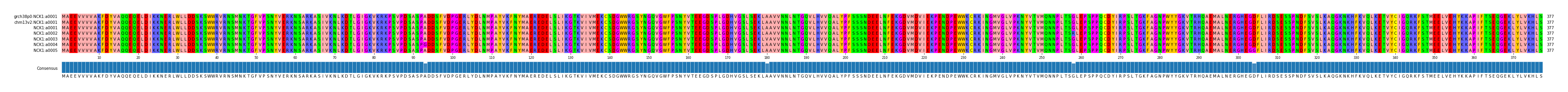 Multiple Alignments (by translate haplotype frequency)