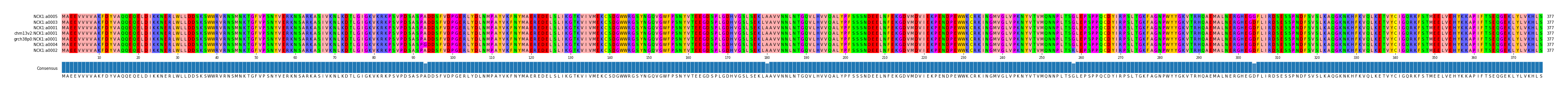 Multiple Alignments (by translate haplotype similarity)