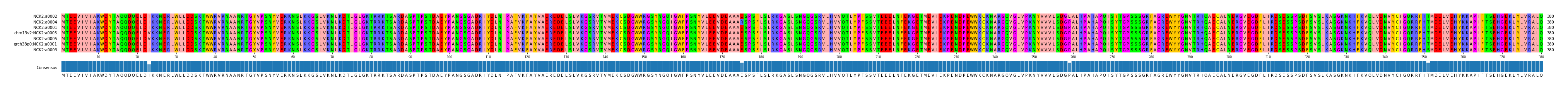 Multiple Alignments (by translate haplotype similarity)