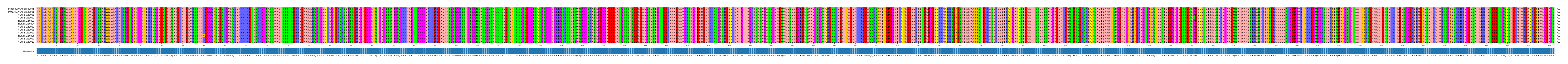 Multiple Alignments (by translate haplotype frequency)