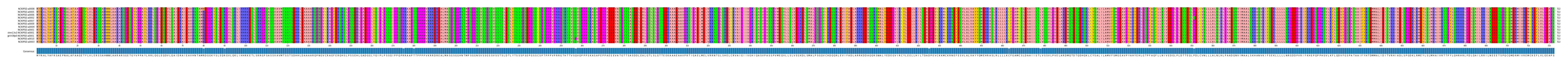 Multiple Alignments (by translate haplotype similarity)
