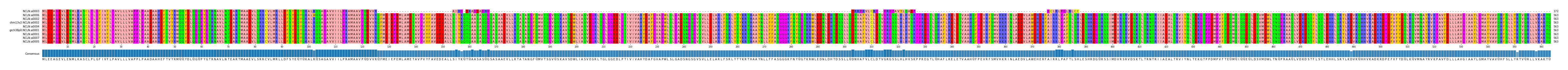 Multiple Alignments (by translate haplotype similarity)