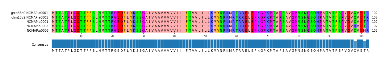Multiple Alignments (by translate haplotype frequency)