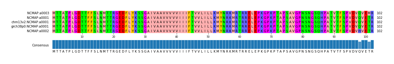 Multiple Alignments (by translate haplotype similarity)