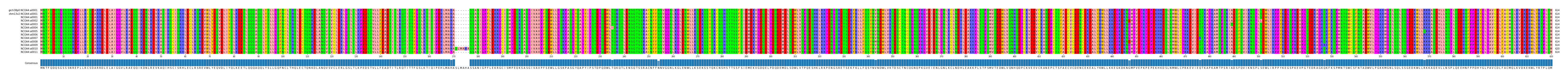 Multiple Alignments (by translate haplotype frequency)