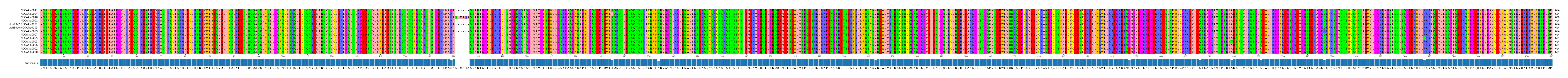 Multiple Alignments (by translate haplotype similarity)