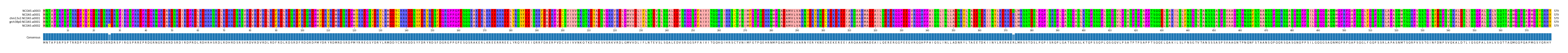 Multiple Alignments (by translate haplotype similarity)