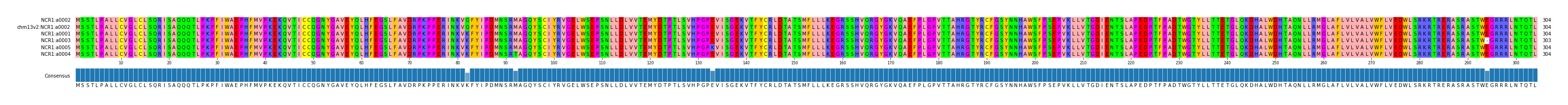 Multiple Alignments (by translate haplotype similarity)