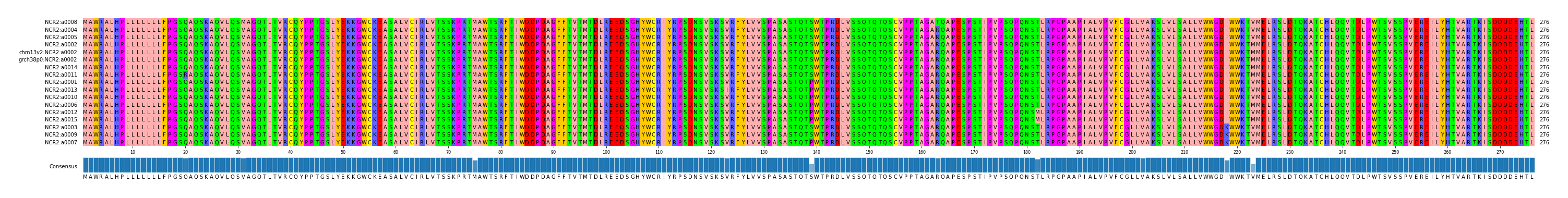 Multiple Alignments (by translate haplotype similarity)