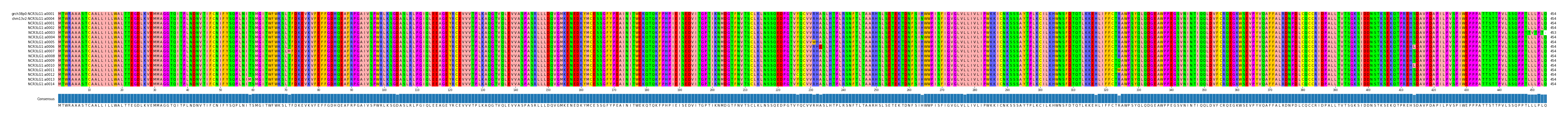 Multiple Alignments (by translate haplotype frequency)