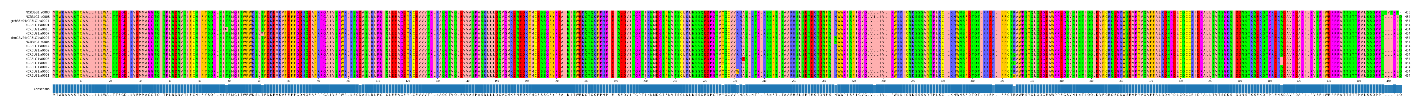 Multiple Alignments (by translate haplotype similarity)
