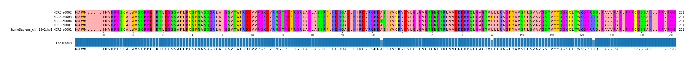 Multiple Alignments (by translate haplotype similarity)