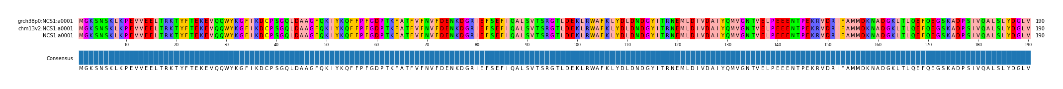 Multiple Alignments (by translate haplotype similarity)