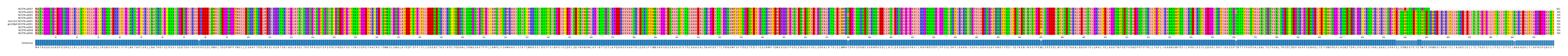 Multiple Alignments (by translate haplotype similarity)
