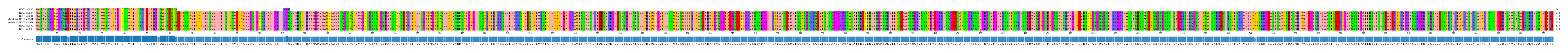 Multiple Alignments (by translate haplotype similarity)