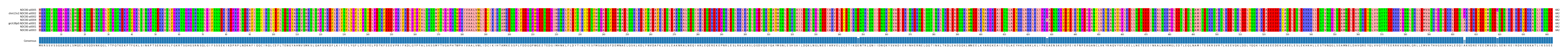 Multiple Alignments (by translate haplotype similarity)