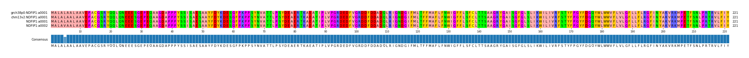 Multiple Alignments (by translate haplotype similarity)