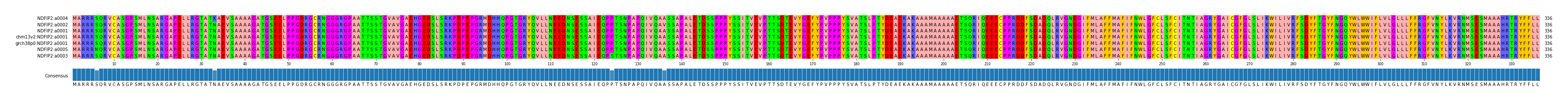 Multiple Alignments (by translate haplotype similarity)