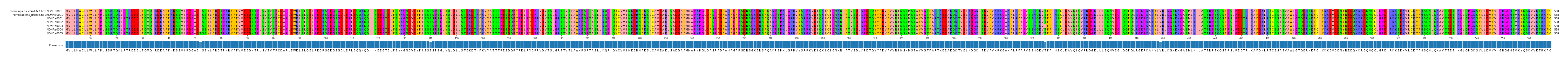 Multiple Alignments (by translate haplotype frequency)