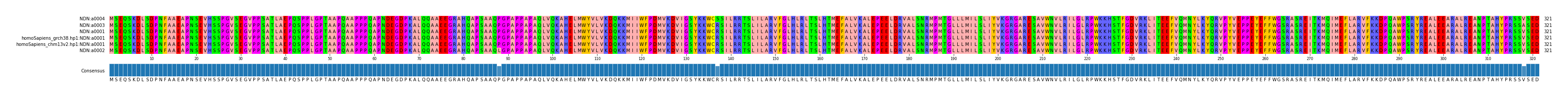 Multiple Alignments (by translate haplotype similarity)