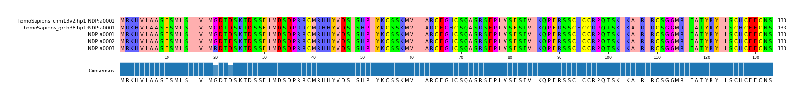 Multiple Alignments (by translate haplotype frequency)