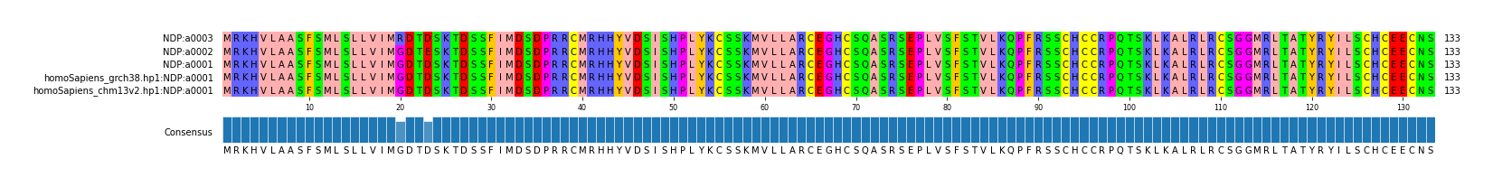 Multiple Alignments (by translate haplotype similarity)