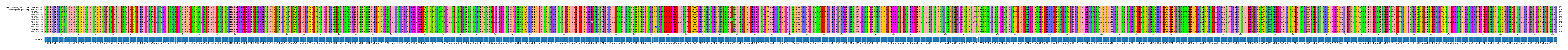 Multiple Alignments (by translate haplotype frequency)