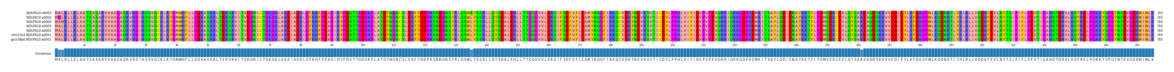 Multiple Alignments (by translate haplotype similarity)
