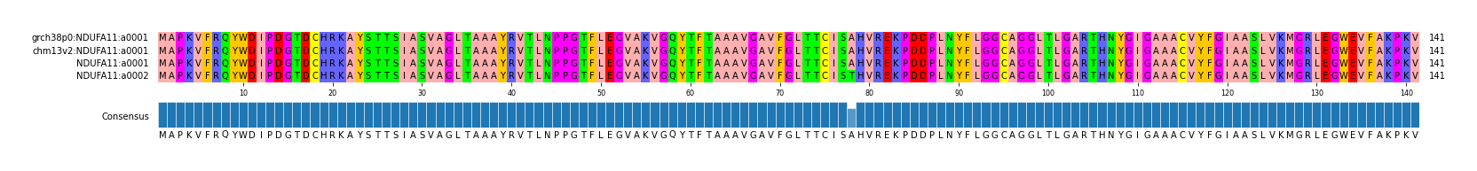 Multiple Alignments (by translate haplotype similarity)