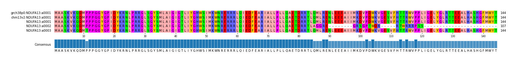 Multiple Alignments (by translate haplotype frequency)