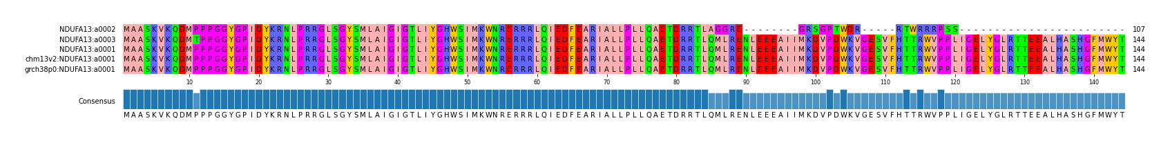 Multiple Alignments (by translate haplotype similarity)