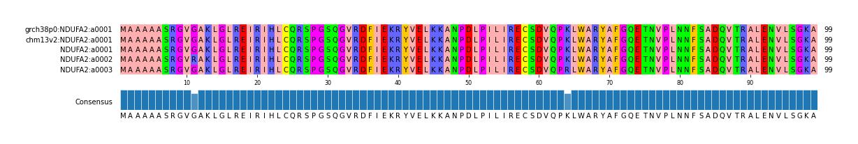 Multiple Alignments (by translate haplotype frequency)