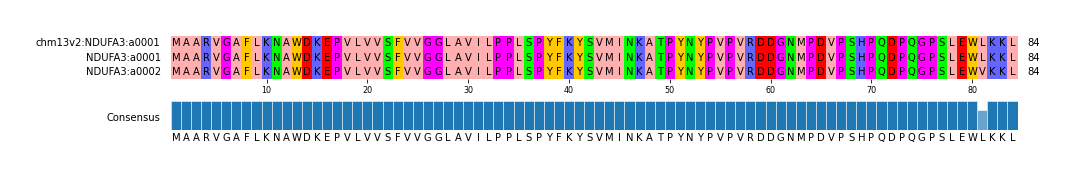 Multiple Alignments (by translate haplotype similarity)