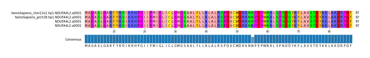 Multiple Alignments (by translate haplotype frequency)